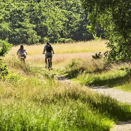 8598-glesborg-doggerbanke-4 Glesborg